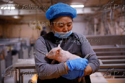 FILE PHOTO: Employee holds a piglet at a breeding farm of Best Genetics Group (BGG) in Chifeng, Inner Mongolia