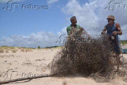 Manchas de leo atigem a praia do Viral, em Sergipe