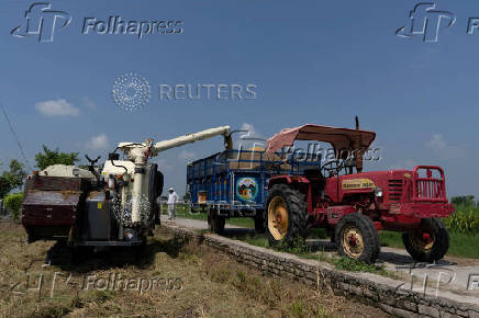 A paddy harvester is used to deposit rice crops in a tractor trolley in a field in Kalampura village