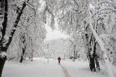 Heavy winter snowfall in Belgrade