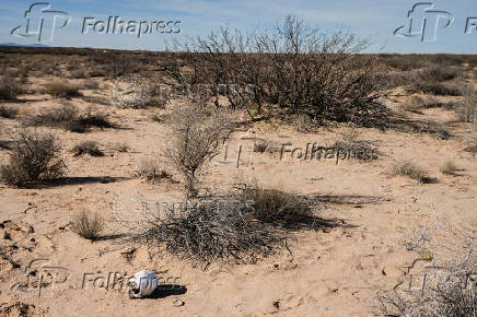 Search for deceased migrants in New Mexico