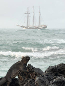 El barco que recrea la vuelta al mundo de Darwin llega a las Galpagos con su tataranieta