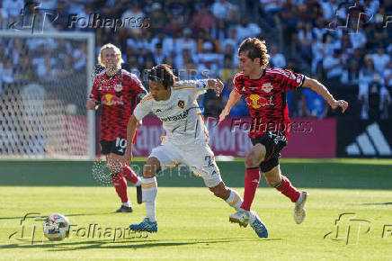 MLS: MLS Cup-New York Red Bulls at LA Galaxy