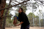 After suffering mistreatment, wild animals find home at Spanish rescue centre