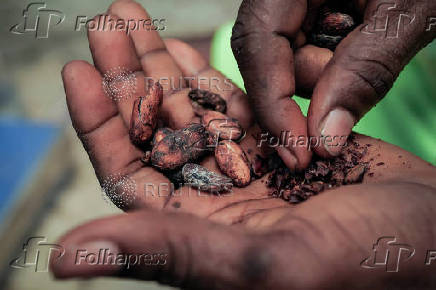 The Wider Image: Chocolate prices to keep rising as West Africa's cocoa crisis deepens