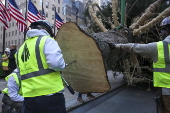 Rockefeller Christmas tree arrives to Rockefeller Center in New York