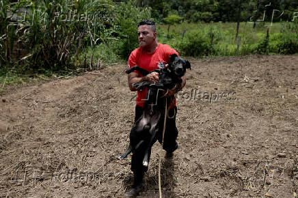 Bombeiro civil resgata co de pousada destruda na lama