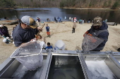 Children assist with trout stocking in Massachusetts