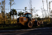 Aftermath of Hurricane Helene in Crawfordville