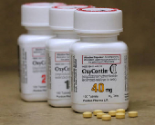 FILE PHOTO: Bottles of prescription painkiller OxyContin made by Purdue Pharma LP on a counter at a local pharmacy in Provo