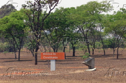 Bosque da Constituinte atrs da Praa