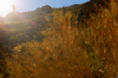 Pilgrimage during the Solemnity of Christ the King to pray for peace, at Mount Cristo Rey, on the border between the United States and Mexico