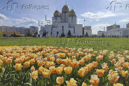 Tulipanes en Lepolis, algo de alivio ante la guerra