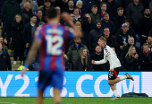 Premier League - Crystal Palace v Fulham