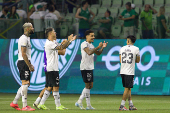 Campeonato Brasileiro 2024 - Palmeiras vs Botafogo