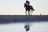 Laytown Racing