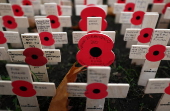 Field of Remembrance at Westminster Abbey in London