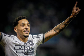 Campeonato Brasileiro Srie A1 - Palmeiras x Botafogo