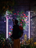 The Royal Horticultural Society's Urban Show in Manchester