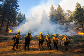 Cal Fire firefighters tackle the Bridge Fire threatening mountain communities, in Wrightwood