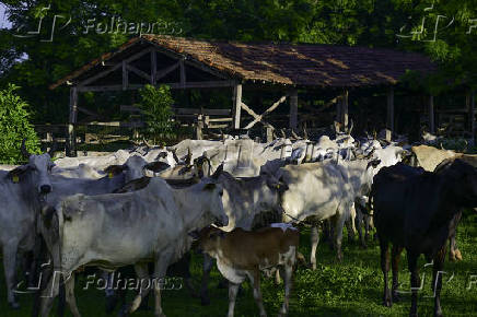 Propriedade rural no limite das cidade de So Jos dos Campos 