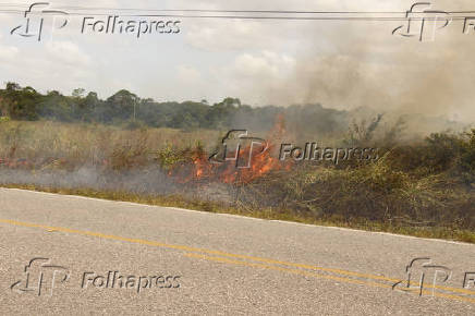 Fazendeiros, todo ano, neste perodo, ateiam fogo no pasto em Tracuateua (PA)
