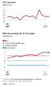 Infográfico 