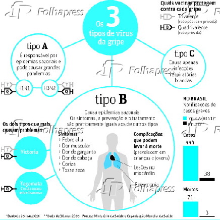 Os três tipos de vírus da gripe