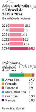 Área queimada no Brasil de 2019 a 2024