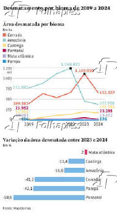 Desmatamento por bioma de 2019 a 2024