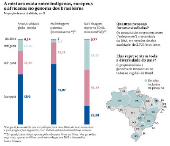 A mistura exata entre indígenas, europeus e africanos no genome dos brasileiros