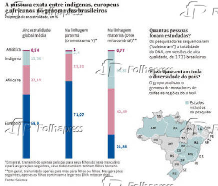 A mistura exata entre indígenas, europeus e africanos no genome dos brasileiros