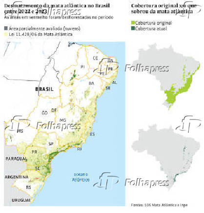 Desmatamento da mata atlântica no Brasil entre 2022 e 2023