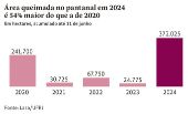 Área queimada no pantanal em 2024 é 54% maior do que a de 2020