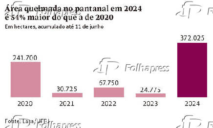Área queimada no pantanal em 2024 é 54% maior do que a de 2020