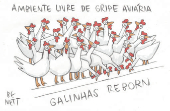 Charge - 'Galinhas Reborn'