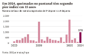 Em 2024, queimadas no pantanal têm segundo pior índice em 15 anos