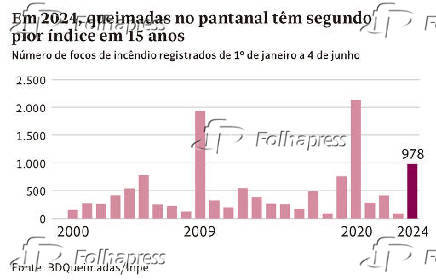 Em 2024, queimadas no pantanal têm segundo pior índice em 15 anos