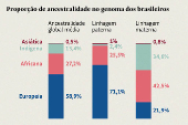Proporção de ancestralidade no genoma dos brasileiros