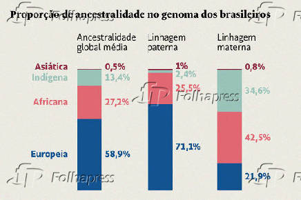 Proporção de ancestralidade no genoma dos brasileiros