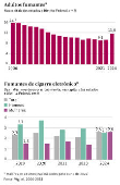 Adultos fumantes / Fumantes de cigarro eletrônico