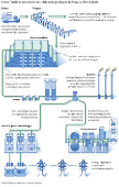 Como funciona um aterro sanitário com produção de biogás e eletricidade
