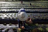 ESPECIAL-AGRO