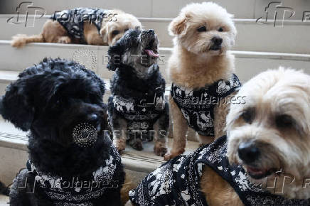 Pet Expo Thailand in Bangkok
