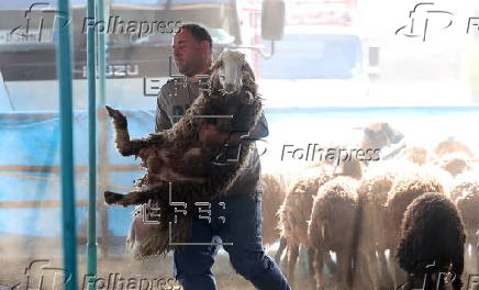 Eid al-Adha celebration in Iran