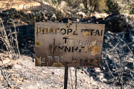 Wildfire continues on Chios Island as evacuations expand
