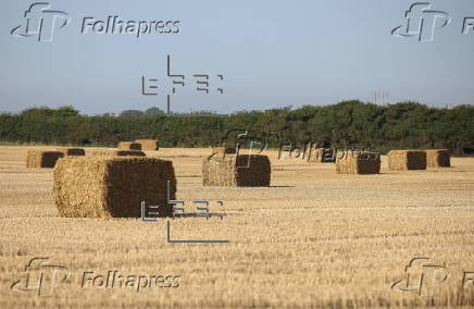 UK farms face extremely dry conditions after higher-than-average temperatures