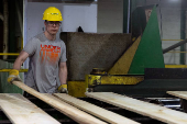 An employee inspects finished wood products before shipping, inside the sawmill at Gorman Bros. Lumber Ltd. in West Kelowna