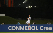 Copa Libertadores - Group Stage - Carabobo v Botafogo