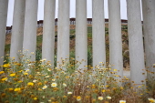 US southern border